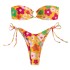 New Split Swimsuit Sexy Small Chest Metal Buckle Bikini Swimsuit